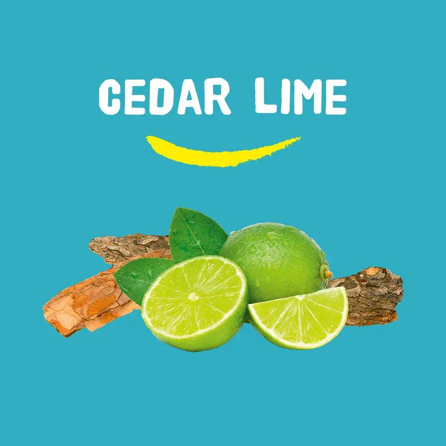 Happy Earth 100% natūralus ir odai draugiškas viso kūno purškiklis Kedras ir Limetas, 100 ml - Image 3