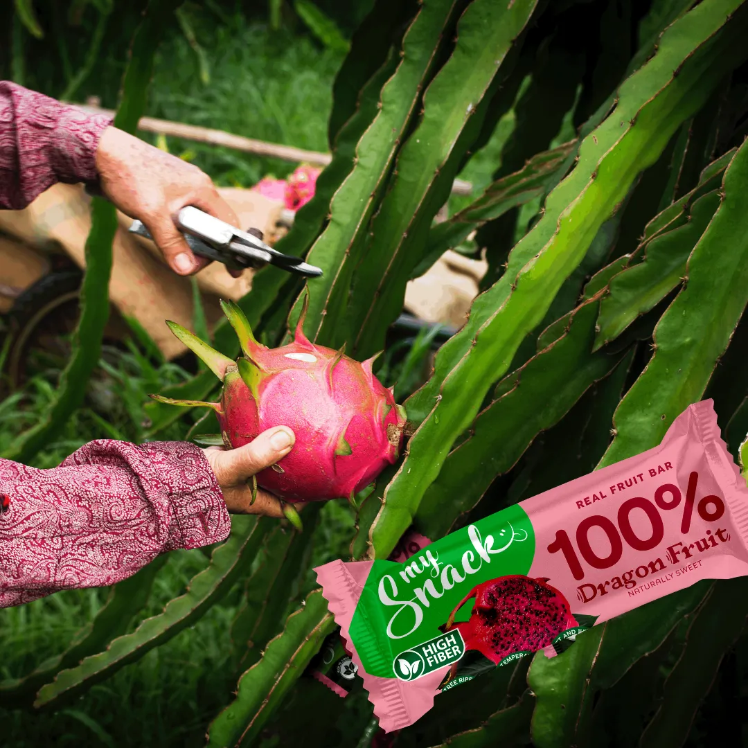 Ellyt 100% drakono vaisių batonėlis, 30 g - Image 2