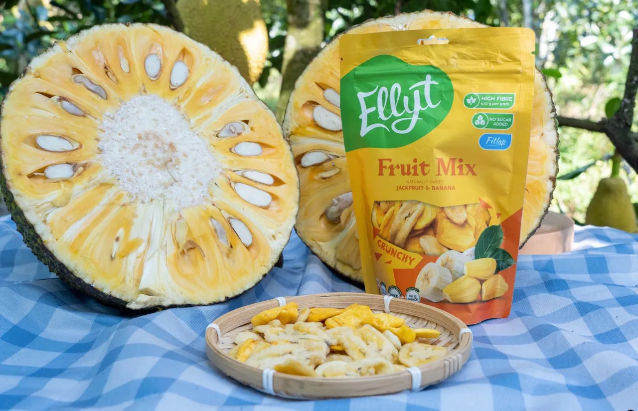Ellyt vaisių mišinys su bananais ir džekfrutais, 80 g - Image 2